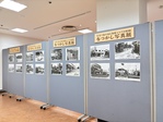展示のようす
