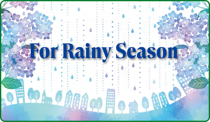 Rainy Season